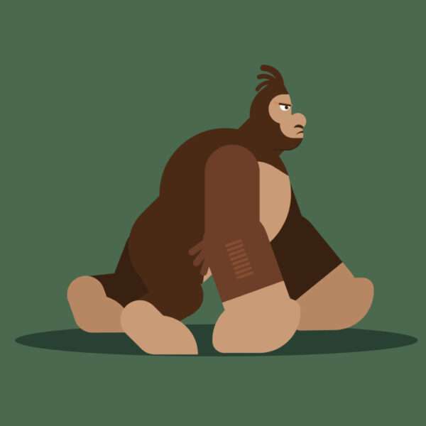 Chimpanzee Illustration