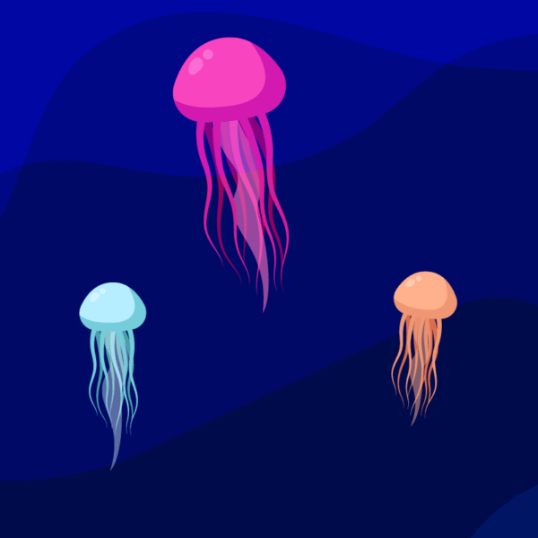 2D Squid Illustration