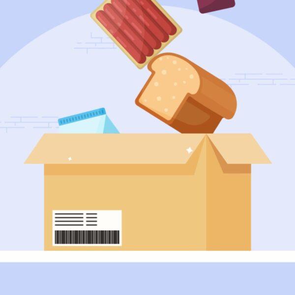 Grocery delivery App Explainer