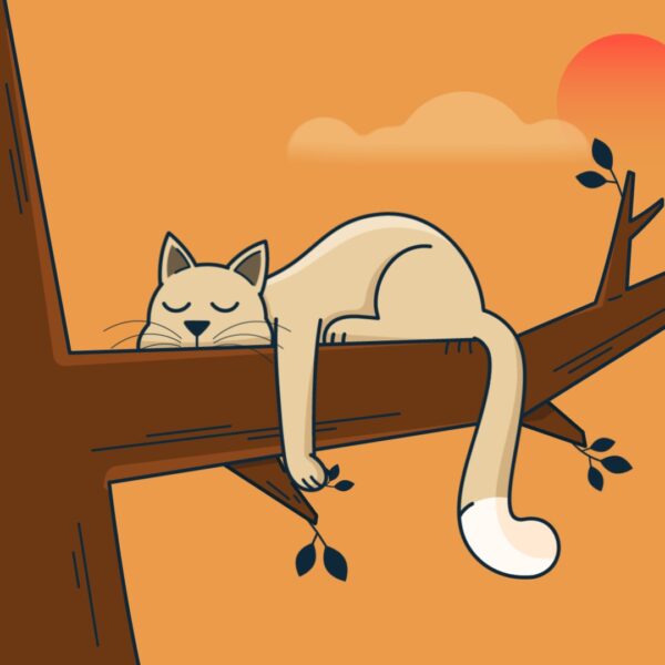 Cat Sleeping