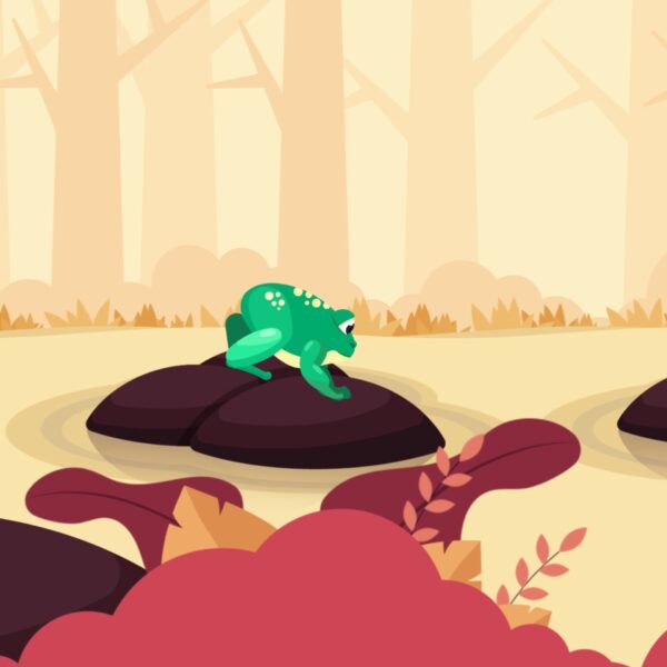 Frog Animation Motion Graphics Pack