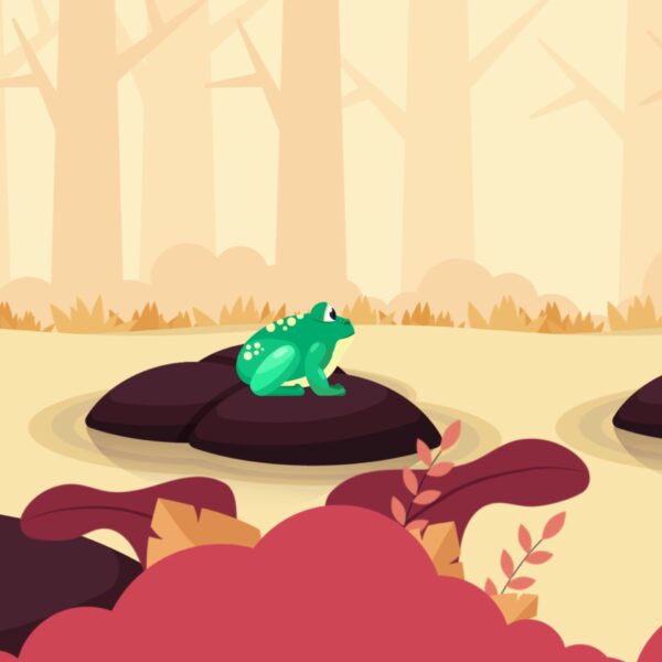 Frog Animation Motion Graphics Pack